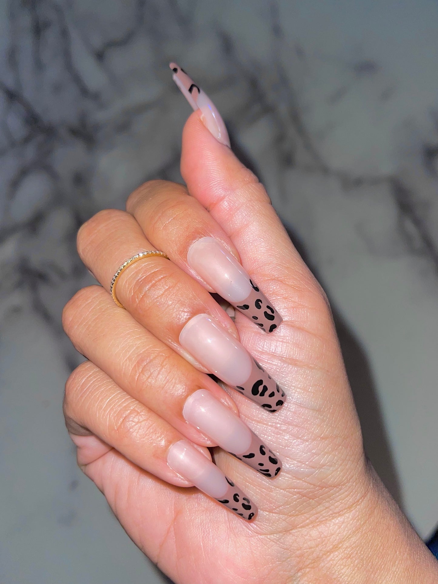 Cheetah