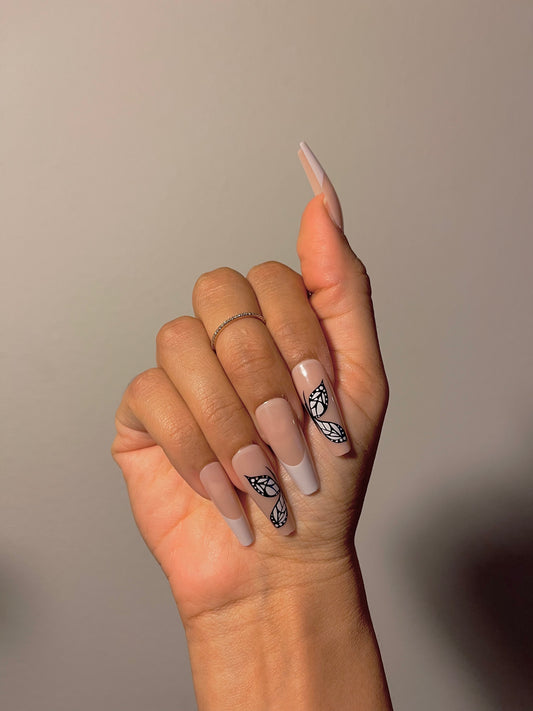 Mariposa
